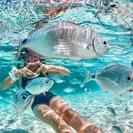 Apartamento Casa Serenas, A 5 Minuti Dal Mare Con Parcheggio, Clima E Tutto Il Necessario Per La Tua In Relax Castiadas