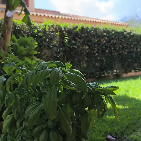 Casa Serenas, A 5 Minuti Dal Mare Con Parcheggio, Clima E Tutto Il Necessario Per La Tua In Relax Apartamento