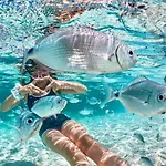 Daire Casa Serenas, A 5 Minuti Dal Mare Con Parcheggio, Clima E Tutto Il Necessario Per La Tua In Relax Castiadas