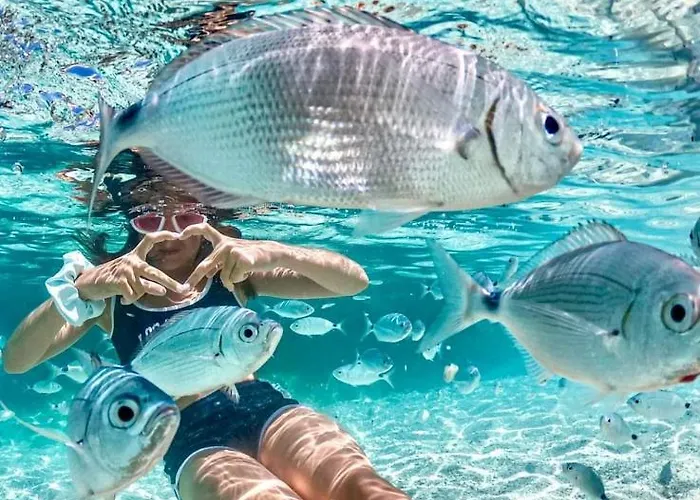 Appartamento Casa Serenas, A 5 Minuti Dal Mare Con Parcheggio, Clima E Tutto Il Necessario Per La Tua In Relax Castiadas