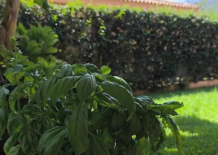 Casa Serenas, A 5 Minuti Dal Mare Con Parcheggio, Clima E Tutto Il Necessario Per La Tua In Relax Appartamento