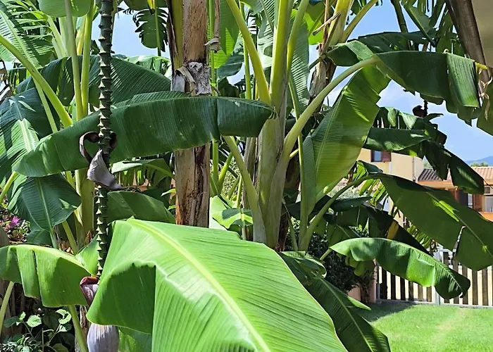 Appartamento Casa Serenas, A 5 Minuti Dal Mare Con Parcheggio, Clima E Tutto Il Necessario Per La Tua In Relax Castiadas